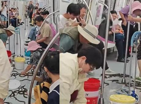 Çin metrosunda yılan balığı istilası: Devrilen kova vagonu birbirine kattı