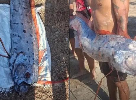 'Kıyamet balığı' sahile vurdu! Ülkede tüyler ürperten tesadüf: '6 gün sonra patladı'